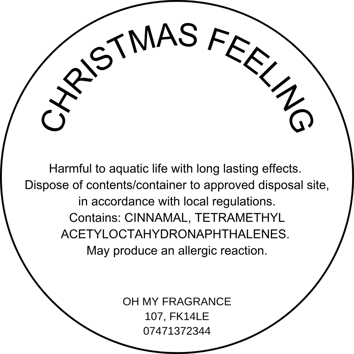 Christmas Feeling