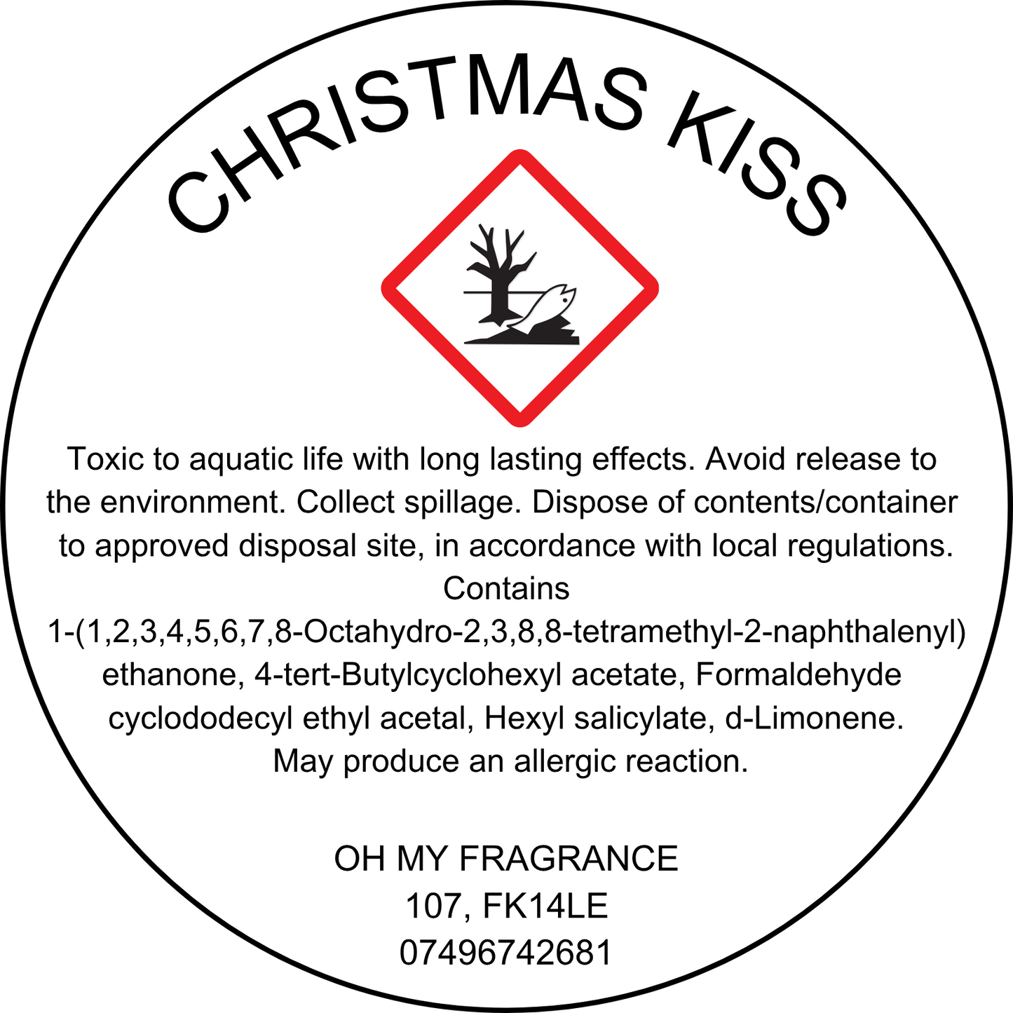 Christmas Kiss