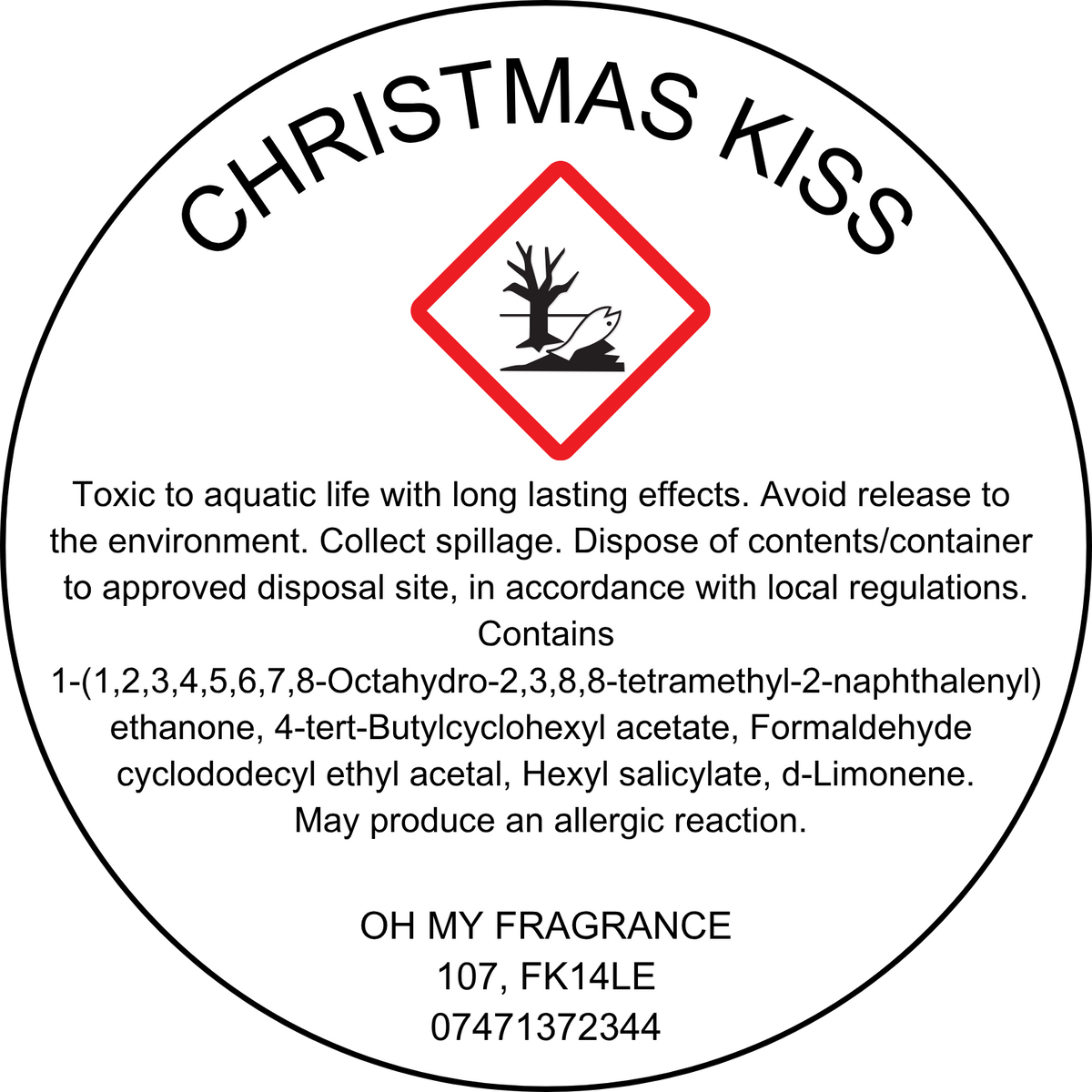 Christmas Kiss