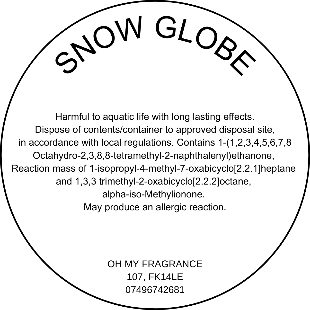 Snow Globe