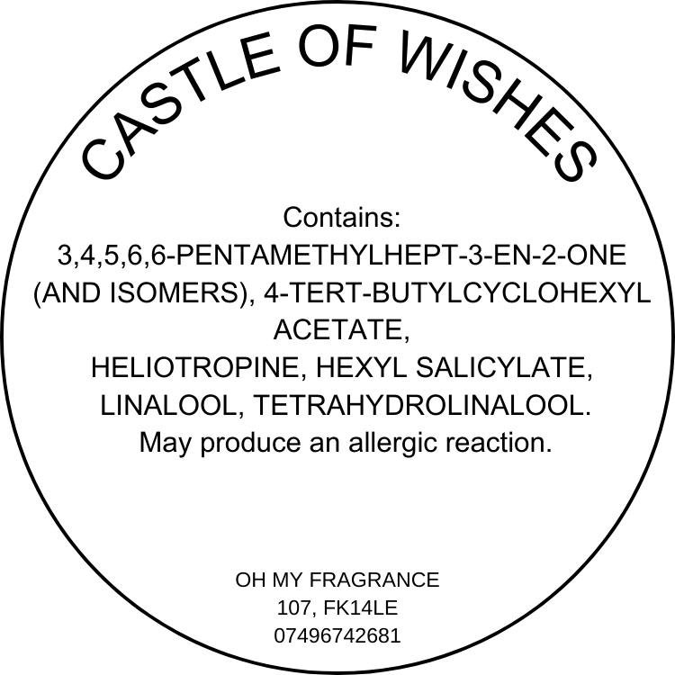 Castle Of Wishes